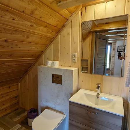 Dom Pod Modrzewiem Vila