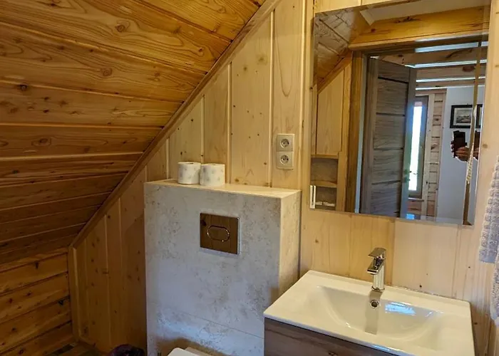 Dom Pod Modrzewiem Willa